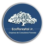 Logo Eco Florestal Jr.